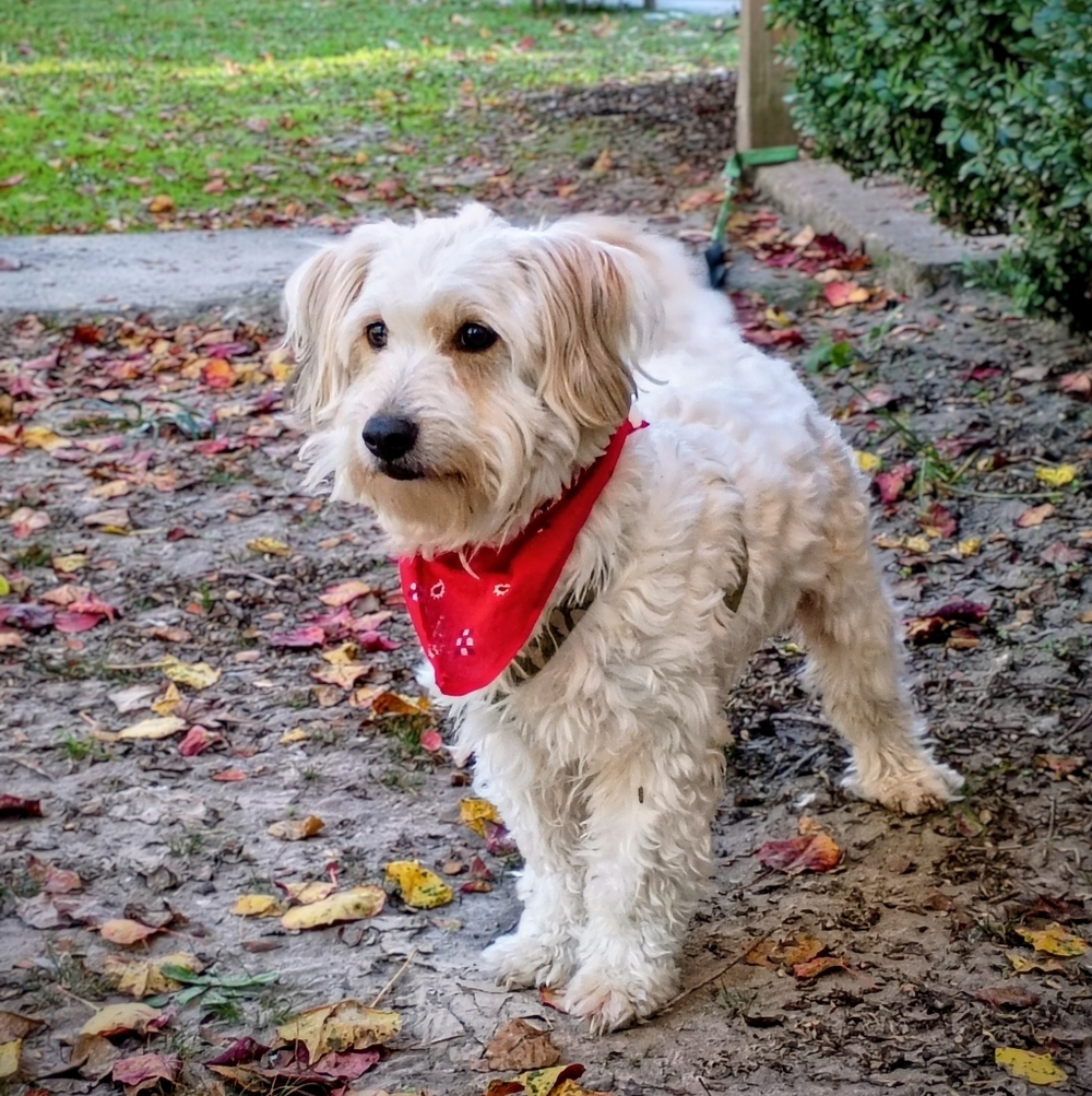 Fuzzy wants to show the things it takes to be warm, even layering